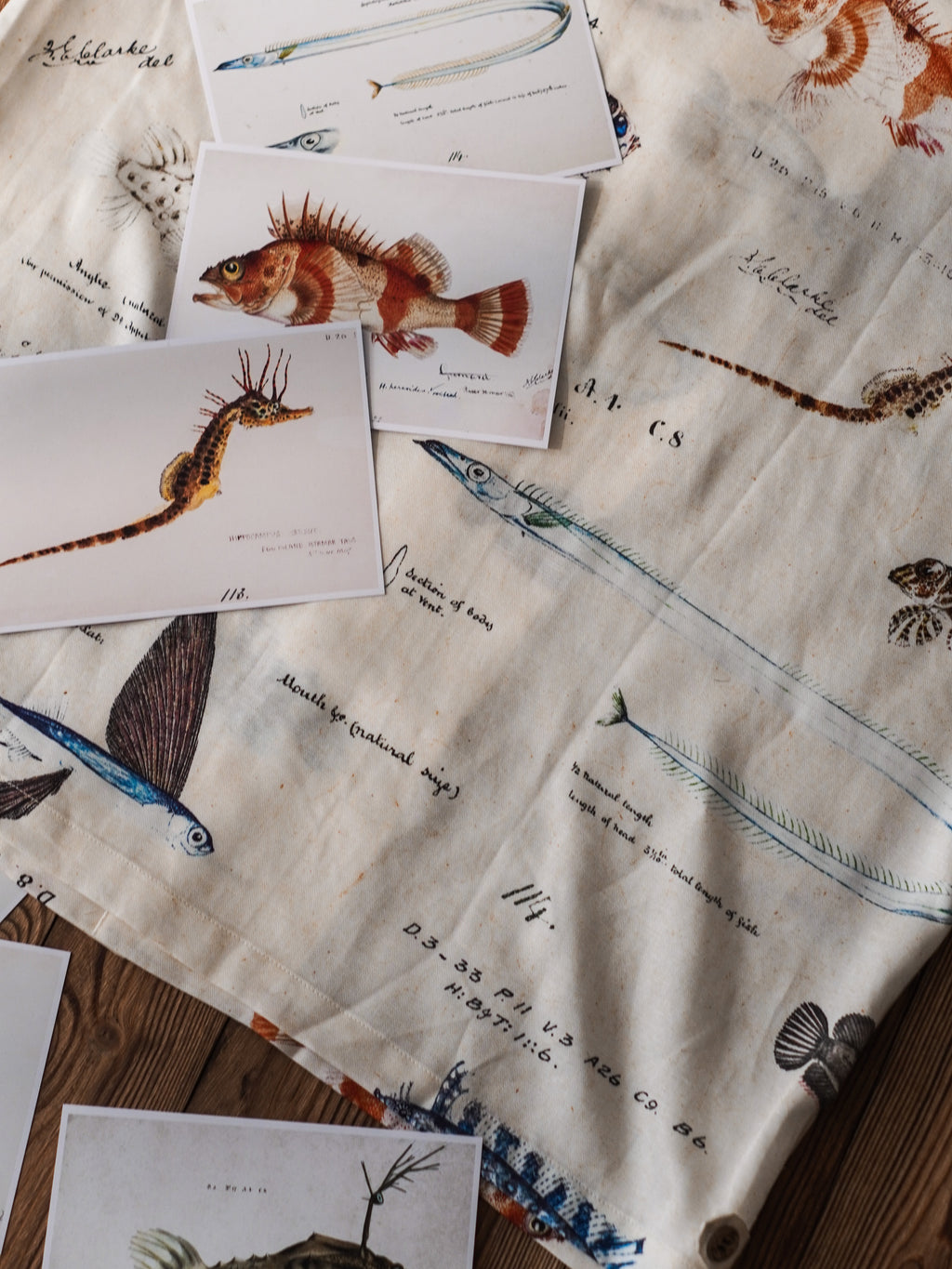 Fish Pattern Shirt